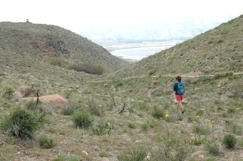 Deadman's Creek Trail, Washoe Lake State Park, Nevada, NV