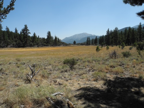 Dry Pond Trail, Reno, Nevada, NV