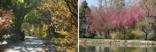 Idlewild Park, Reno, Nevada