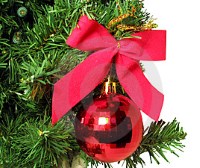 Christmas,activities,season,holidays,events,Reno,Nevada,NV