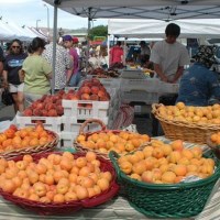 farmers,markets,produce,fruit,food,shopping,eating,Reno,Sparks,Nevada,NV