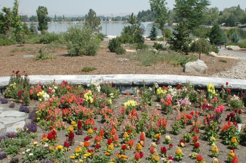 Virginia Lake Park, Reno, Nevada